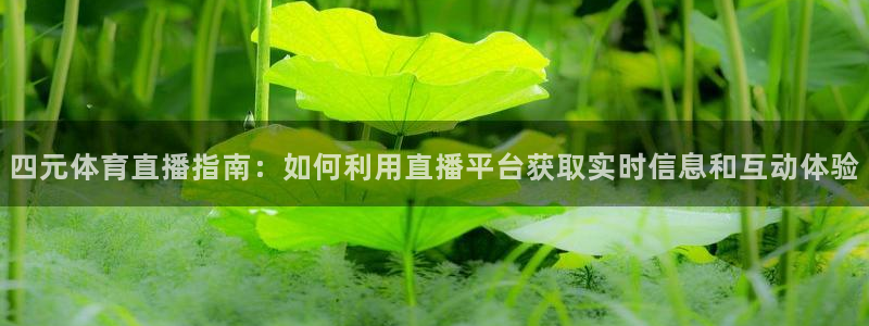 四元体育直播指南：如何利用直播平台获取实时信息和互动体验