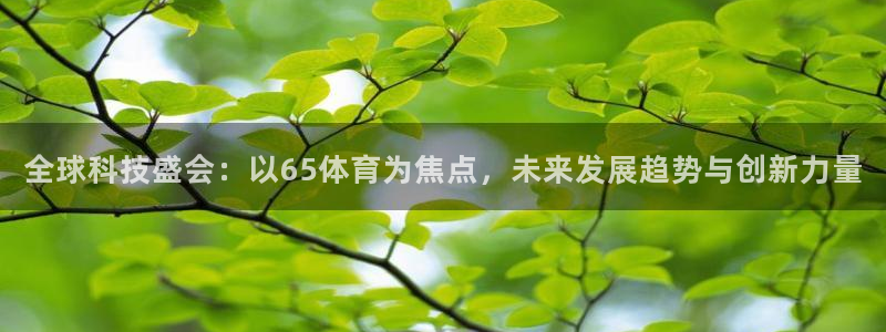 全球科技盛会：以65体育为焦点，未来发展趋势与创新力量