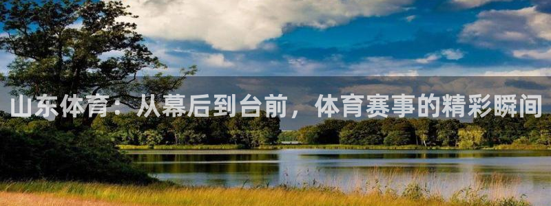 山东体育：从幕后到台前，体育赛事的精彩瞬间